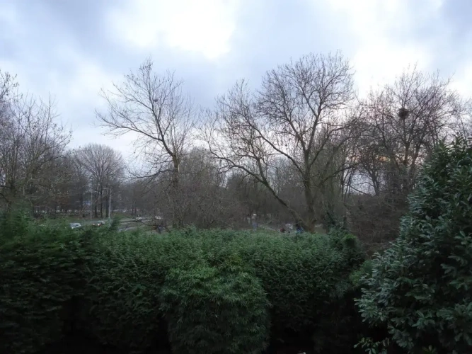 Deluxe Double room with garden view