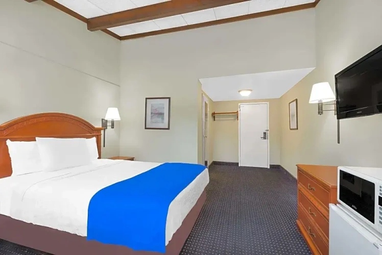 Double Studio Suite