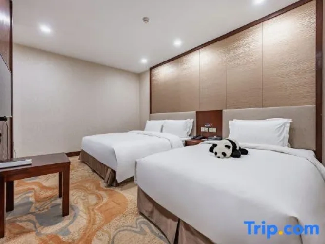 Twin Family Suite