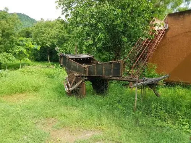 Krishna Ranch