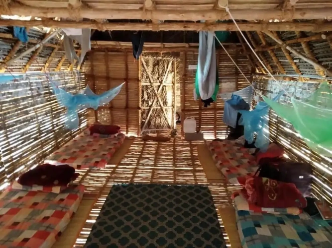 Bed in Dorm
