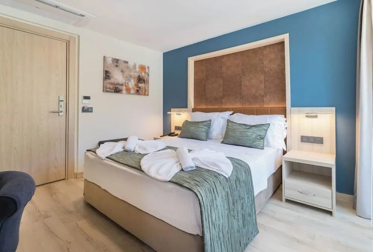 Standard Double room with balcony and with mountain view