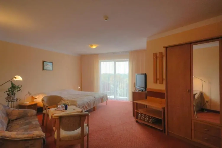 Standard Double room with lake view