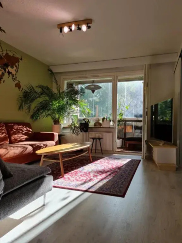 Paradise apartment
