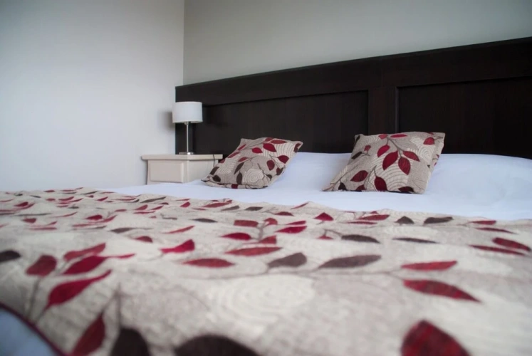 Executive Apartment
