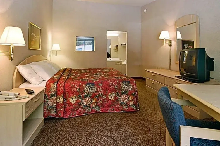 Standard room with view