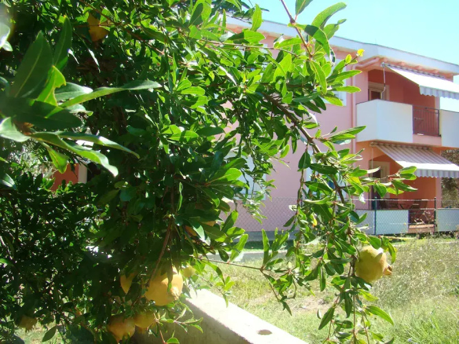 Apartments Villa Lucija
