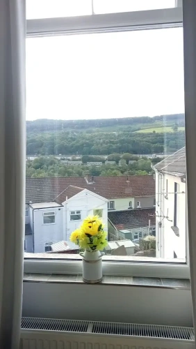 1 Bedroom Executive Triple room