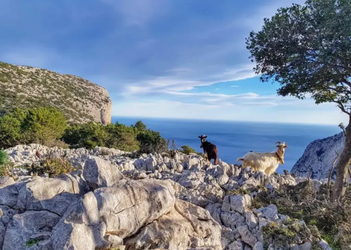 Appartamento tra mare e montagna