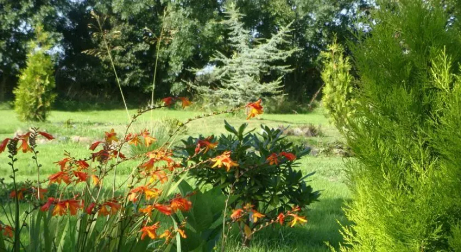 Tangiers Grange B&b