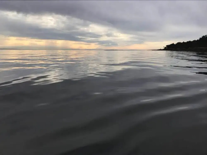 Silva Bay B&B