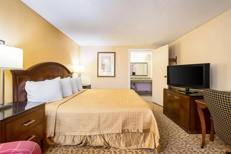 Rodeway Inn Metro Airport