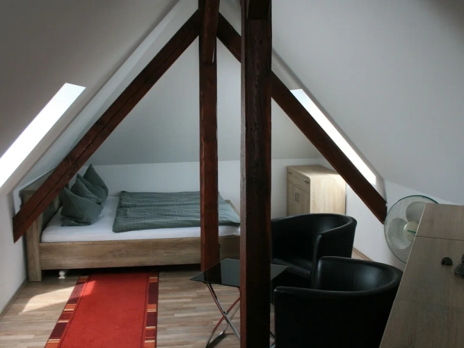 Standard Apartment