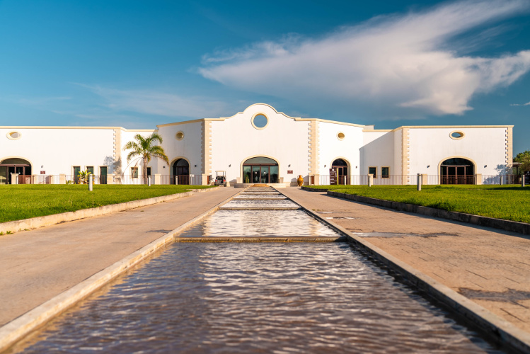 Acaya Golf Resort & Spa photo 35