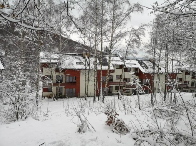 Duplex Apartment