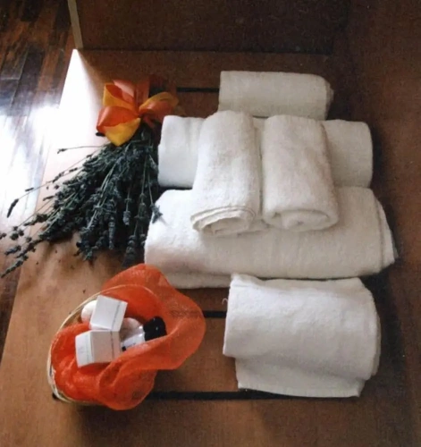 1 Bedroom Comfort Double room with garden view