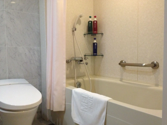 Deluxe Twin room with river view