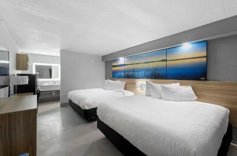 Quadruple Suite