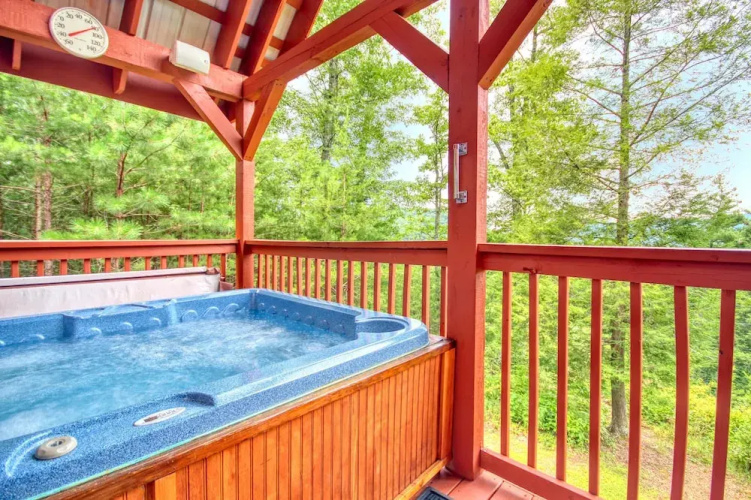 Wow! What A Cabin #255