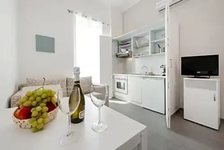 1 Bedroom Apartment