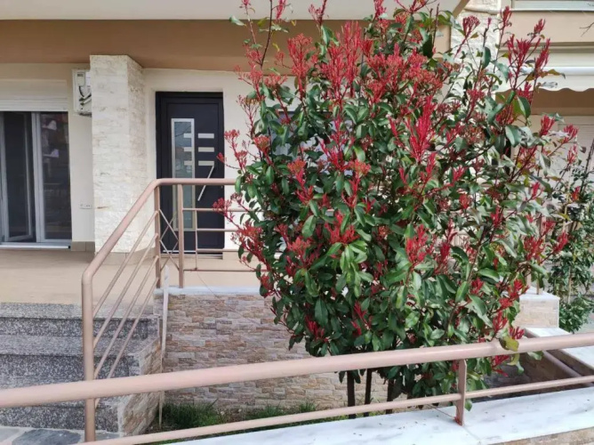 Avellana Royal Suites