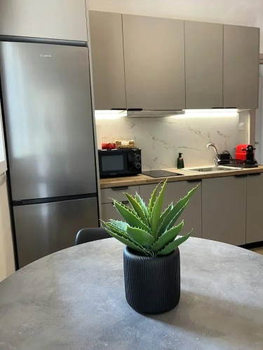 Double Apartment