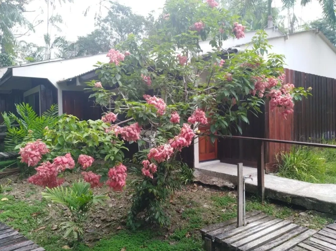 Superior Double room with garden view