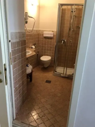 Deluxe Double room with garden view