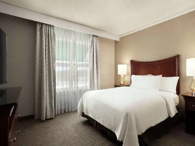 1 Bedroom Suite