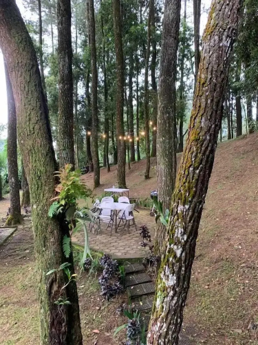 The Pine Forest Villas