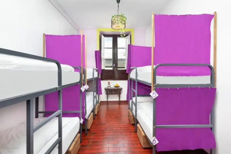Bed in Dorm