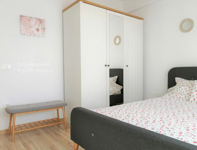 Cozy Apartment Bujorilor Suceava