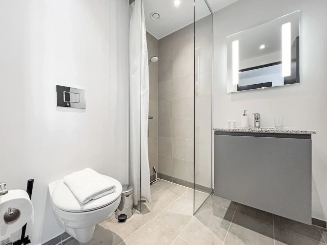 Deluxe Apartment
