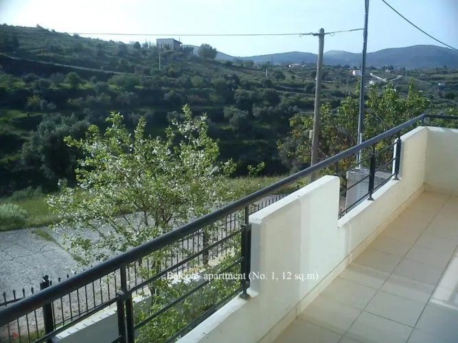 1 Bedroom Apartment