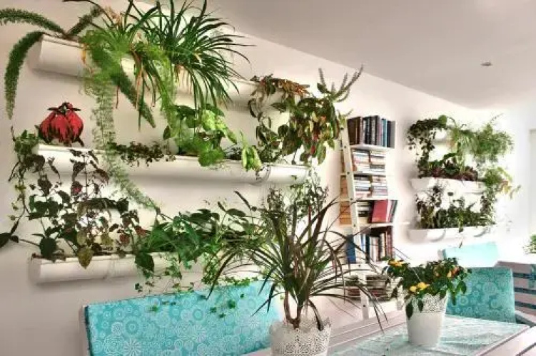 Apartamentos Gelimar