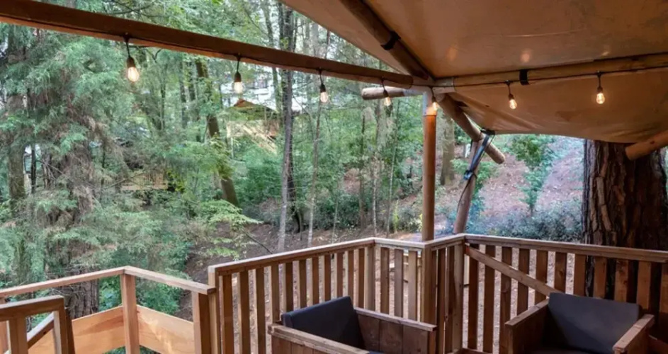 Almendra Incredible Lodge in the Forest With Private Jacuzzi