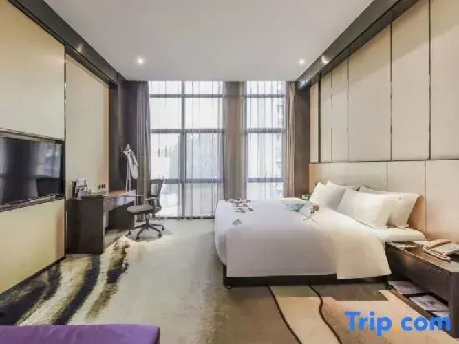 Comfort Suite