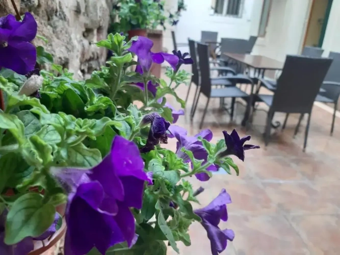3 Bedrooms Apartment with balcony