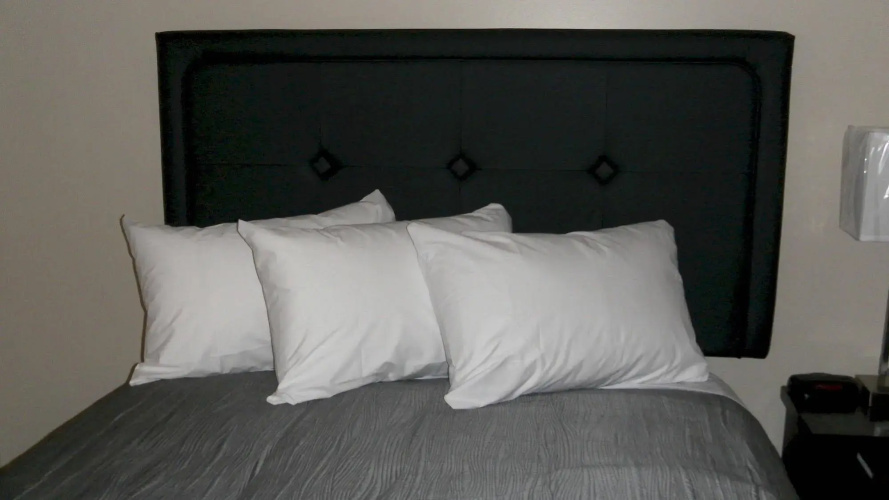 Stampeder Inn