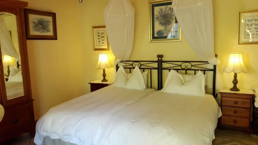 Standard Twin room with view
