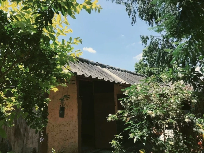 1 Bedroom Standard room