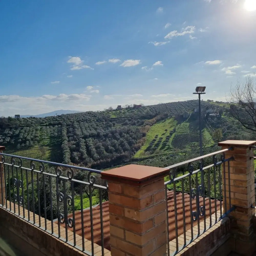 La Vigna di Ranco Ltd N3352