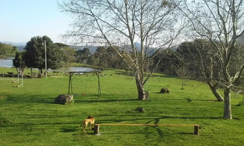 Standard Double room with balcony and with view