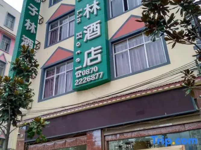 Zhaotong Coconut Forest Hotel - Zhaotong