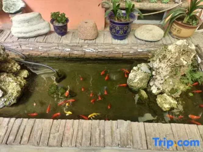 Tex Ming Lanshe B&B