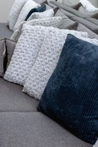 Pet-friendly & Cozy Studio by Renters