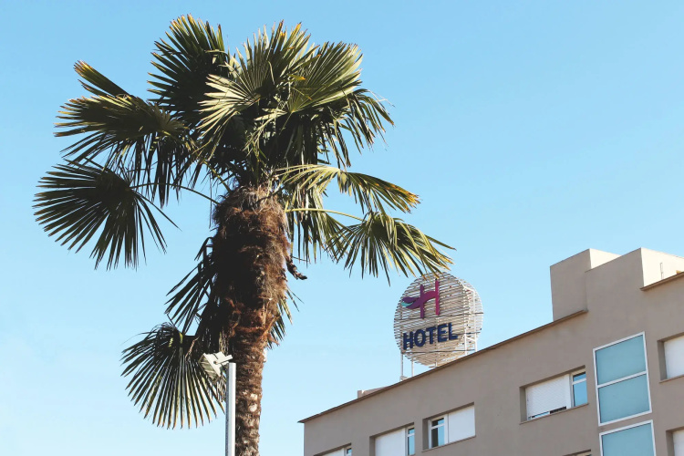 Hotel Consentido