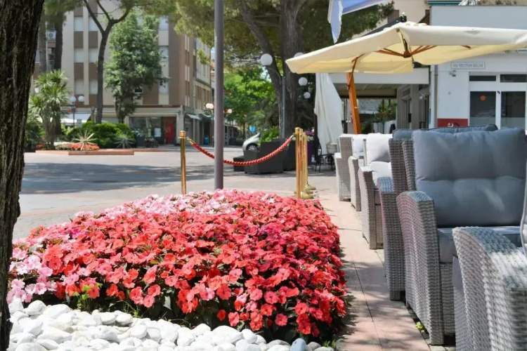 Hotel Villa Erica