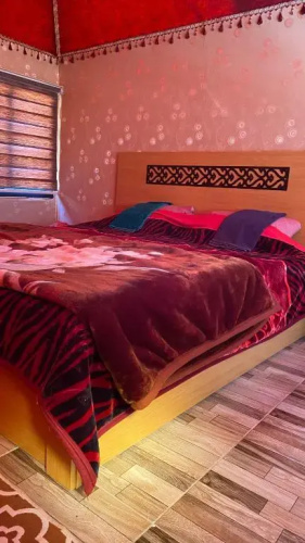 Wadi Rum Nature Tours And Camp