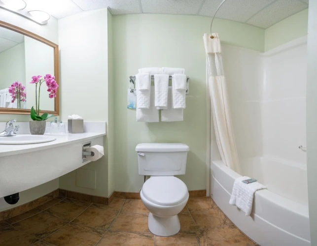 Business Double Suite